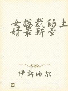 女总裁的上门龙婿最新章封面