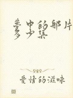 梦中的那片海是多少集封面