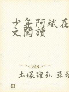 少年阿斌在线全文阅读封面