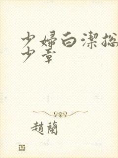 少妇白洁总共多少章