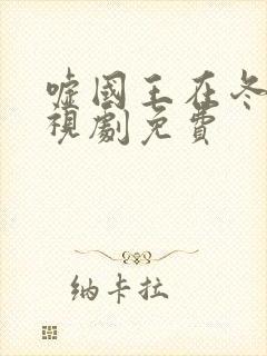 嘘国王在冬眠电视剧免费封面