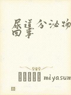 尿道分泌物怎么回事