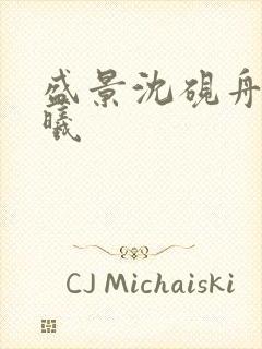 盛景沈砚舟宁若曦