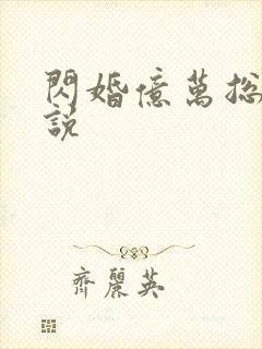 闪婚亿万总裁小说