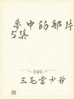 梦中的那片海35集