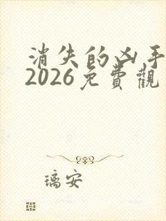 消失的凶手网剧2026免费观看