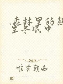 .森林里的熊先生冬眠中