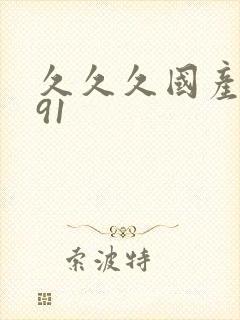 久久久国产精品91