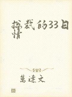 总裁的33日索情封面