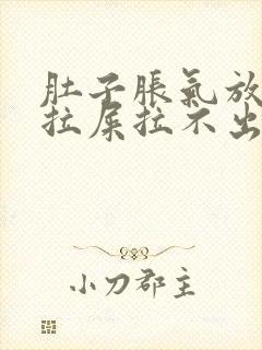 肚子胀气放屁想拉屎拉不出来怎么回事