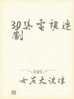 30集电视连续剧