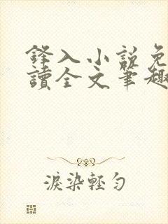 锋入小说免费阅读全文笔趣阁