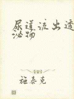 尿道流出透明分泌物