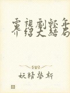 电视剧轻年剧情介绍大结局免费观看封面