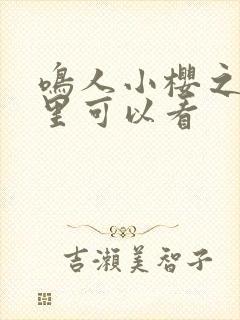 鸣人小樱之夜哪里可以看