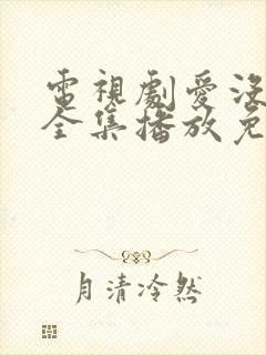 电视剧爱没有错全集播放免费