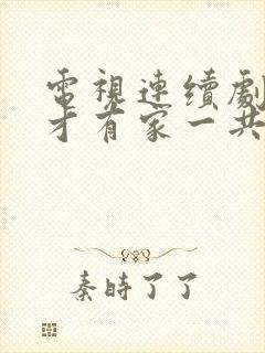 电视连续剧有你才有家一共多少集