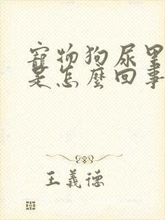 宠物狗尿里带血是怎么回事封面