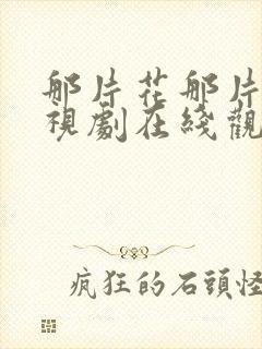 那片花那片海电视剧在线观看封面