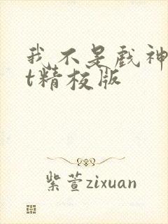 我不是戏神txt精校版封面