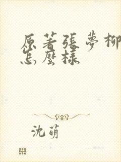 原著张梦柳结局怎么样