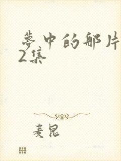 梦中的那片海22集