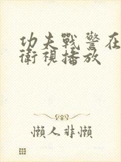 功夫战警在哪个卫视播放