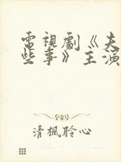 电视剧《夫妻那些事》主演封面