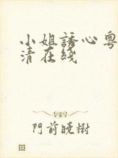 小姐诱心粤语高清在线