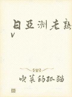 日亚洲老熟女av