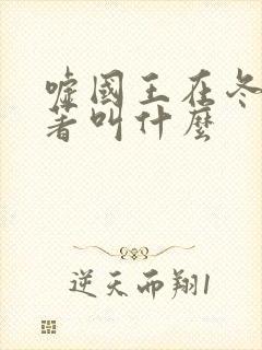 嘘国王在冬眠原著叫什么