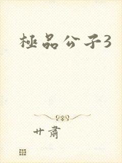 极品公子3封面