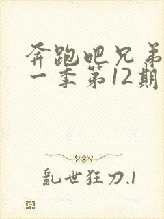 奔跑吧兄弟第十一季第12期免费观看