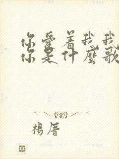 你爱着我我爱着你是什么歌