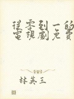 从零到一的爱情电视剧免费观看全集封面