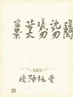 宁若曦沈砚舟盛景太匆匆阅读全文