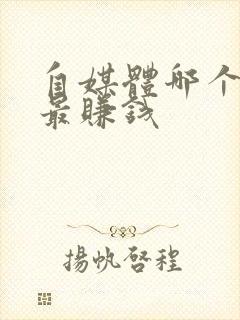 自媒体哪个平台最赚钱