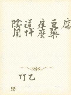 阴道痒豆腐渣该用什么药