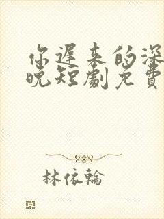 你迟来的深情太晚短剧免费观看封面