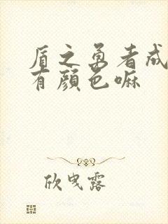 盾之勇者成名录有颜色嘛