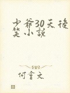 少爷30天后会笑小说