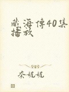 藏海传40集全播放