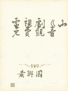 电视剧《山河》免费观看