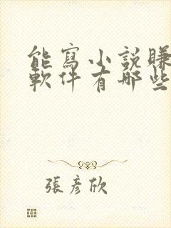 能写小说赚钱的软件有哪些