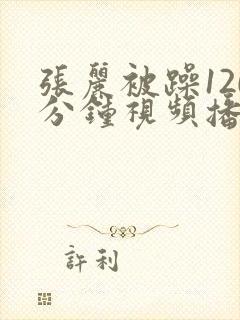 张丽被躁120分钟视频播放