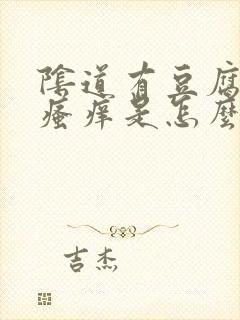 阴道有豆腐渣还瘙痒是怎么回事