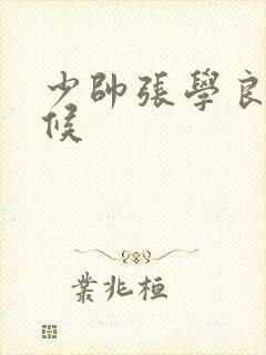 少帅张学良小时候