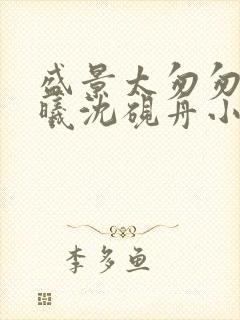 盛景太匆匆宁若曦沈砚舟小说最新章节