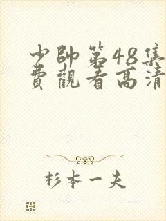 少帅第48集免费观看高清封面