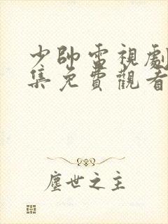 少帅电视剧48集免费观看高清